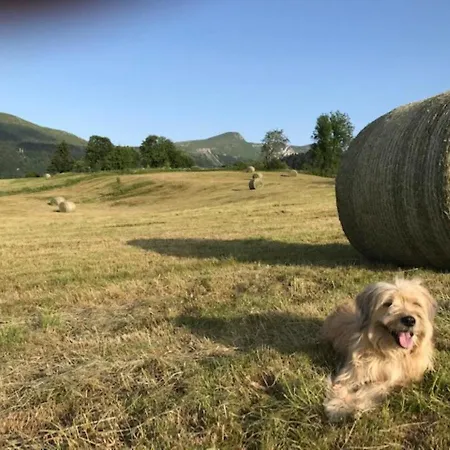 Mont-dore T2 Avec Balcon Et Accès Wifi Pour 4 Personnes - Fr-1-608-86 Le Mont-Dore