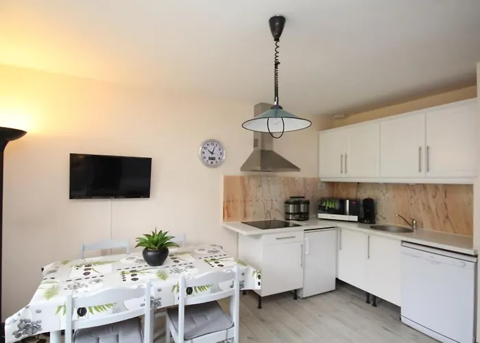 Mont-dore T2 Avec Balcon Et Acces Wifi Pour 4 Personnes - Fr-1-608-86 * Le Mont-Dore