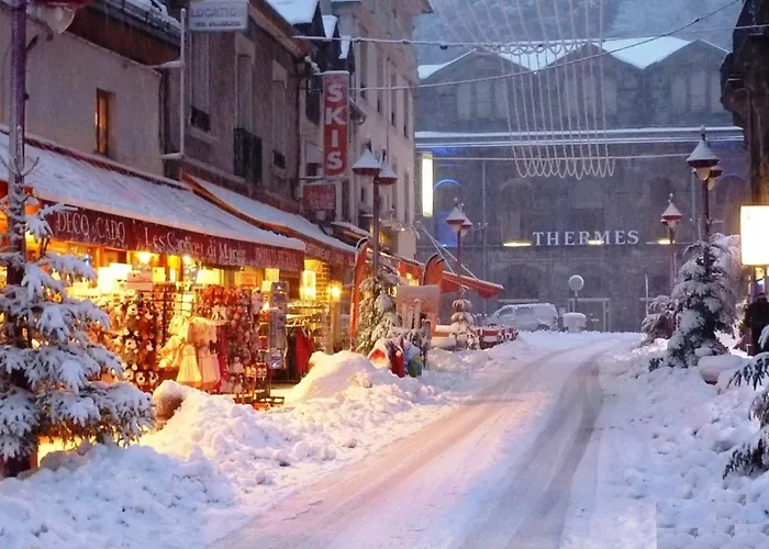 Mont-dore T2 Avec Balcon Et Acces Wifi Pour 4 Personnes - Fr-1-608-86