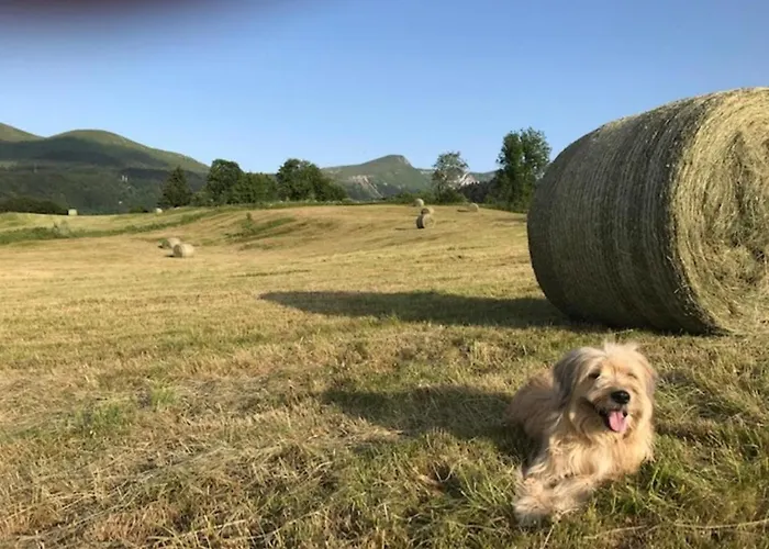 Mont-dore T2 Avec Balcon Et Accès Wifi Pour 4 Personnes - Fr-1-608-86 Le Mont-Dore