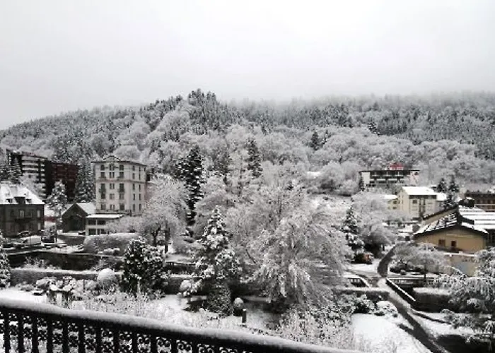 Apartment Mont-dore T2 Avec Balcon Et Acces Wifi Pour 4 Personnes - Fr-1-608-86 *